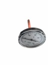 TERMOMETRO T80/100